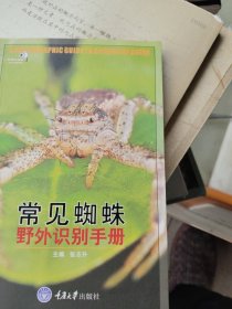 康定斯基论点线面：包毫斯丛书