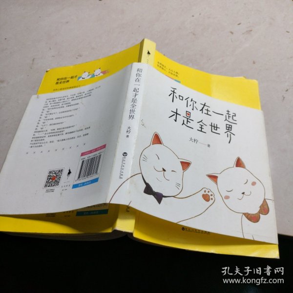 和你在一起才是全世界