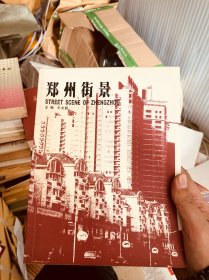 郑州街景，这是一个关于郑州20条主要街道的一个视觉文本。