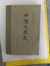 中国文学史二