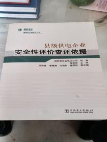 县级供电企业安全性评价查评依据