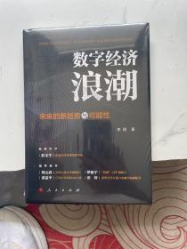 数字经济浪潮——未来的新趋势与可能性