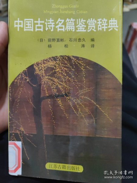 中国古诗名篇鉴赏辞典