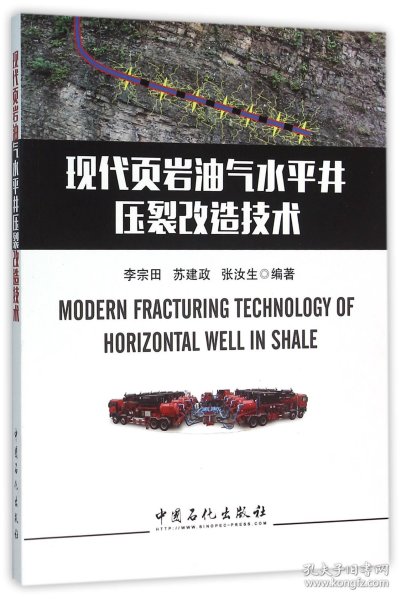 现代页岩油气水平井压裂改造技术