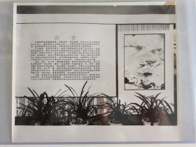 （补图）1978年云南展览大幅照片40张，粉碎四人帮之后，在华国锋同志的领导下，1978年四月，召开云南第四次党代会。为“沙甸事件”平反大会，“云南特务组计划”“滇西挺近纵队”冤假错案平反大会，云南跨越农奴制历史等，是十一届三中全会以来云南最全面的展览资料照片，照片为原版新闻展览大幅照片，30x25厘米