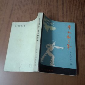 鹰瓜翻子拳 河北武术丛书(四)