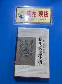 昭明文选注析