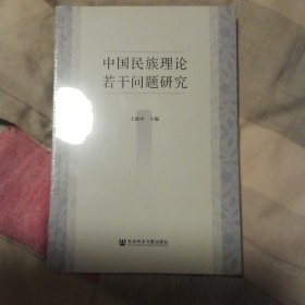 中国民族理论若干问题研究