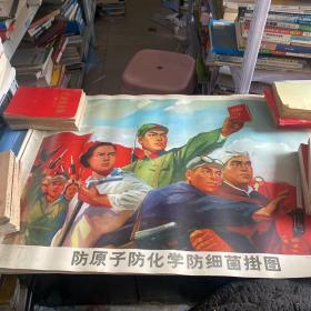 1971年文革防原子防化学防细菌挂图 全套30张现有27张