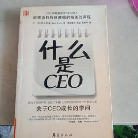 什么是CEO：关于CEO成长的学问