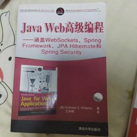 Java Web高级编程：涵盖WebSockets、Spring Framework、JPA Hibernate和Spring Security