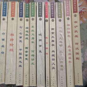 新战争与和平 （全12册）