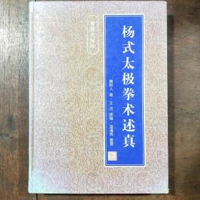 杨式太极拳术述真