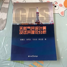 天然气井流计算及试井理论分析