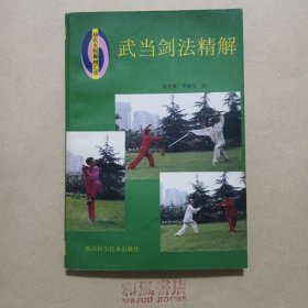 《武当剑法精解》