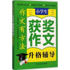 小学生获奖作文升格辅导