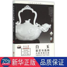 白玉鉴定与选购从新手到行家 古董、玉器、收藏 李永光