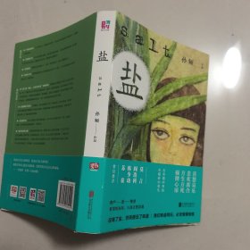 盐（莫言、阎连科、韩少功、苏童、范小青力荐作品！）