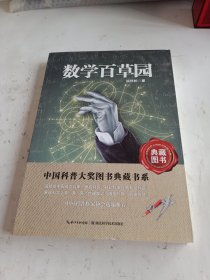 中国科普大奖图书典藏书系：数学本草园