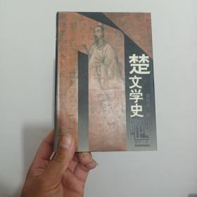 楚文学史