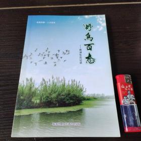 野鸟百态—青浦生态记录