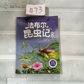 法布尔昆虫记绘本 萤火虫——伪善的杀手