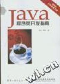 正版 JAVA程序员开发指南/JAVA开发专家系列 张义 李剑 9787801722676