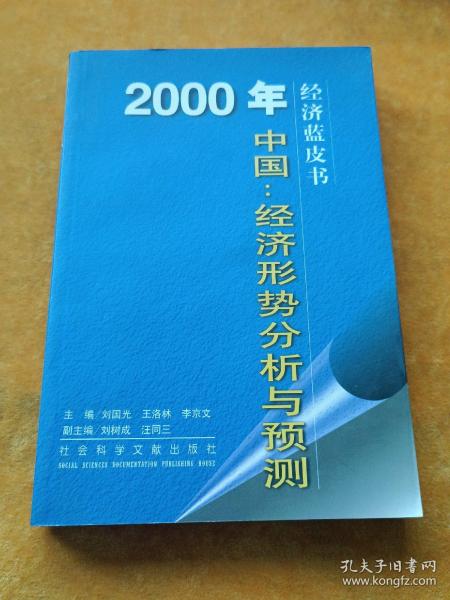 2000年中国：经济形势分析与预测