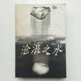 沧浪之水(阎真 著)