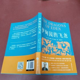 伊甸园的飞龙