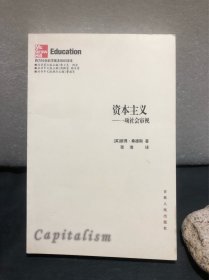 资本主义：一项社会审视