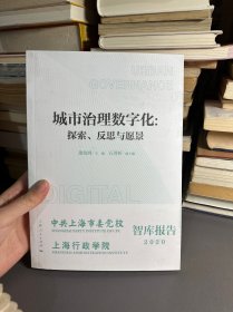 城市治理数字化：探索、反思与愿景