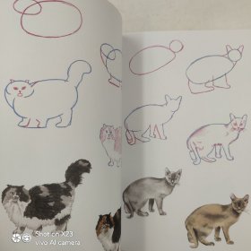 How to Draw: Animals: in simple steps