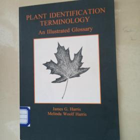 plant identification terminology（植物鉴定术语）