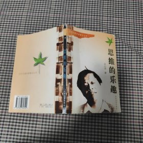 思维的乐趣