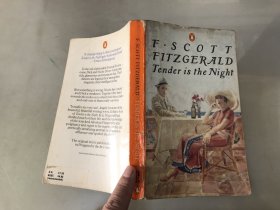 F. Scott Fitzgerald：Tender is the Night