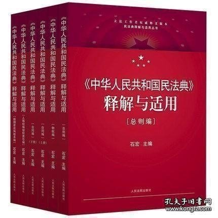 《中华人民共和国民法典》释解与适用 全5编6册