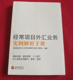 经常项目外汇业务实例解析手册