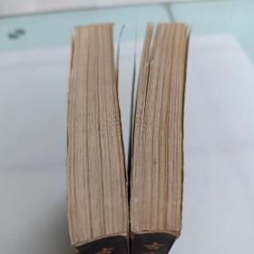 古代白话小说选（上下册）