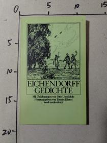 Joseph Freiherr von Eichendorff Gedichte 德文原版 插图本  很多插图