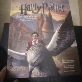 Harry Potter: A Pop-up Book: Based on the Film Phenomenon