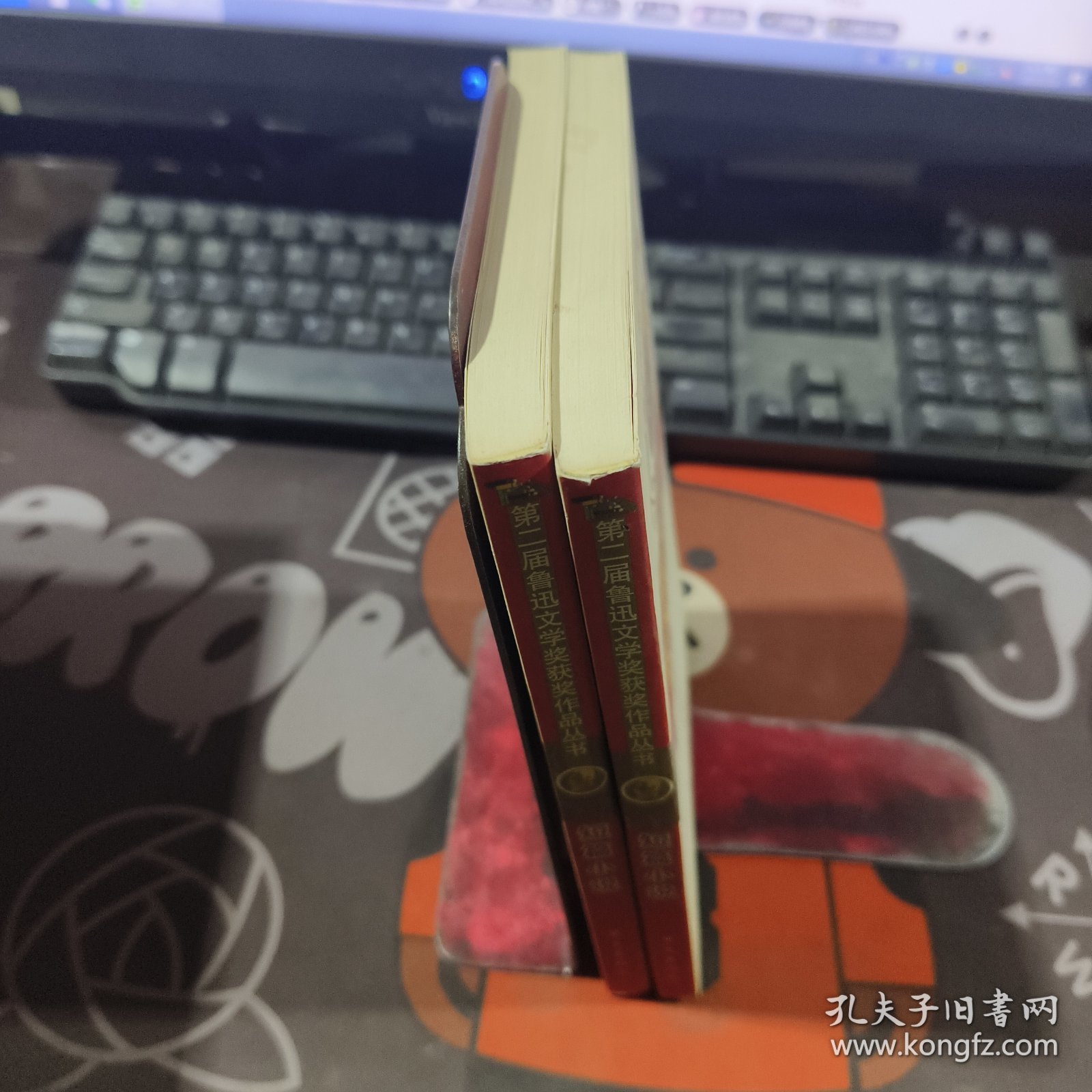 短篇小说.第二届鲁迅文学奖获奖作品丛书（一版一印）