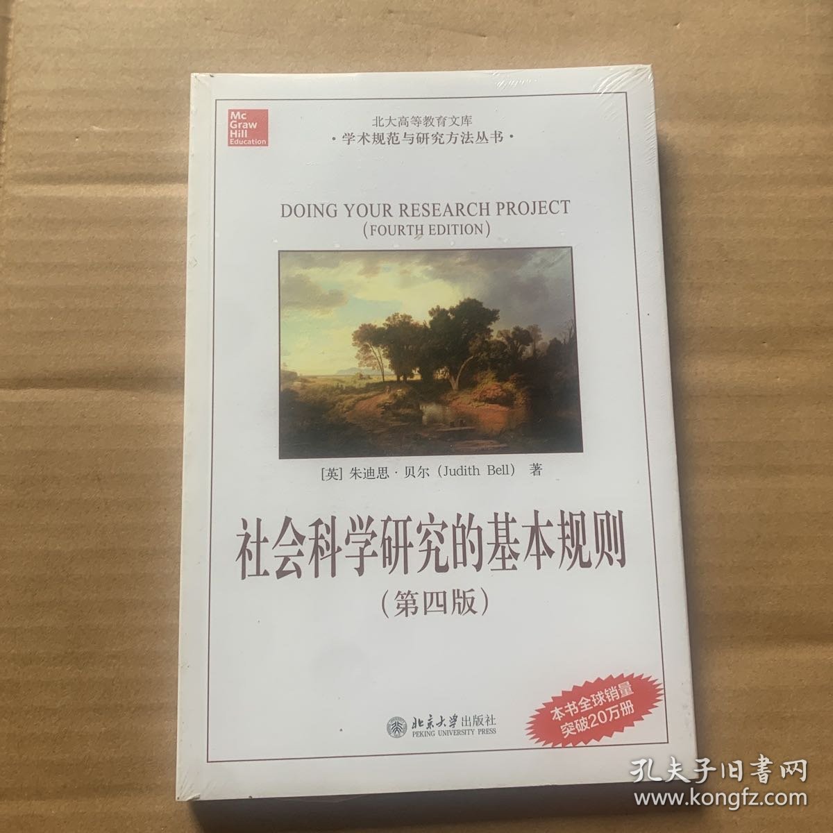 北大高等教育文库·学术规范与研究方法丛书：社会科学研究的基本规则（第4版）