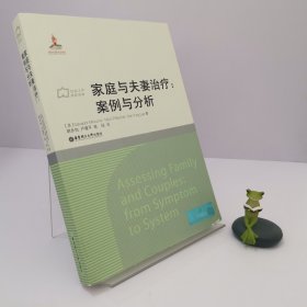 社会工作流派译库·家庭与夫妻治疗：案例与分析