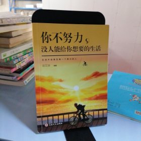 你不努力没人能给你想要的生活（新版）