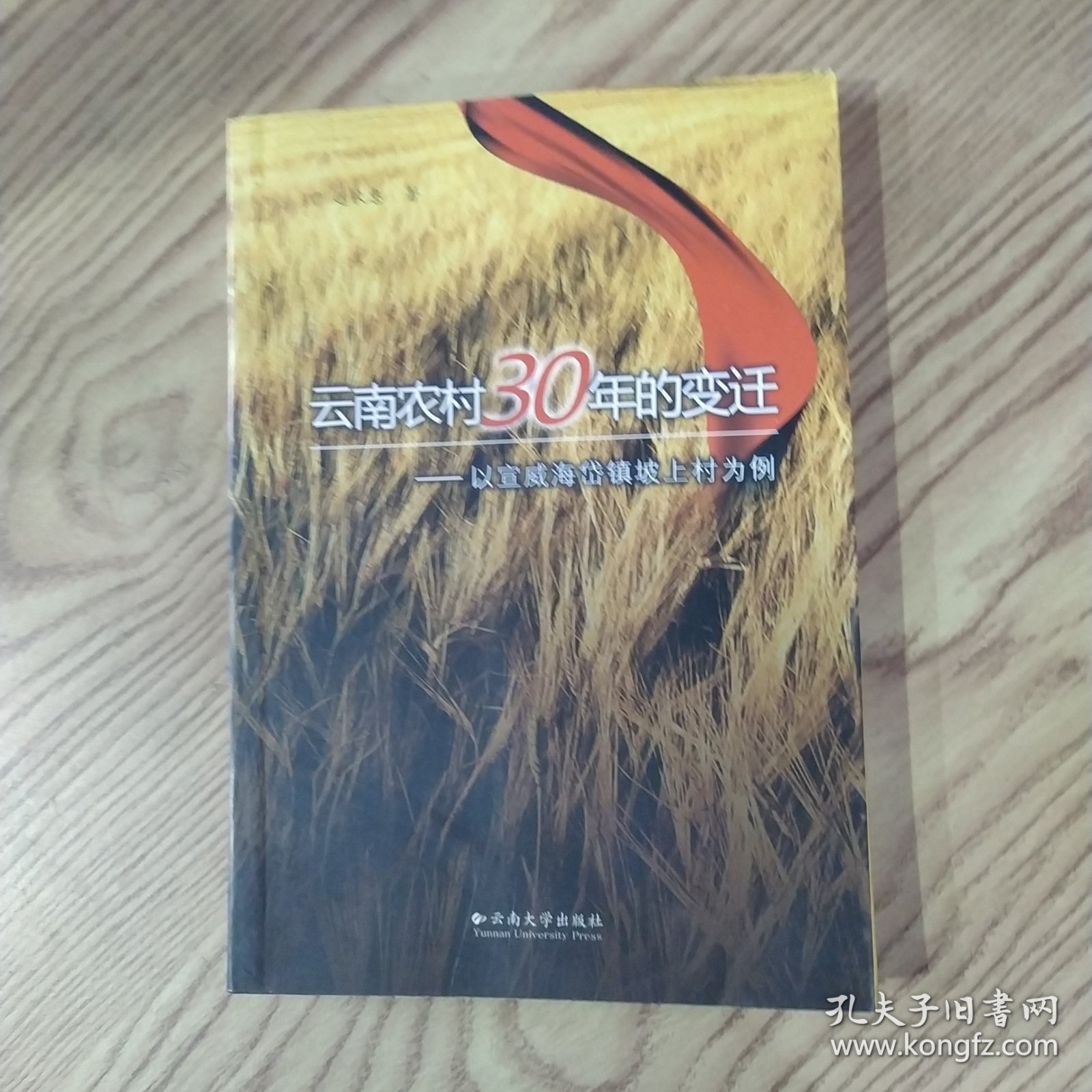 云南农村30年的变迁：以宣威海岱镇坡上村为例（85品大32开2008年1版1印187页16万字）59053