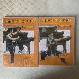 VCD南少林武术大观：南派少林十二捶，南派一指金光罗汉拳（未开封，2盘合售）罗汉拳带盒有破损