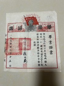 1950年西安市第十一区第二完全小学杨鸿政毕业证书