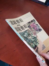 盆栽葡萄与庭院葡萄