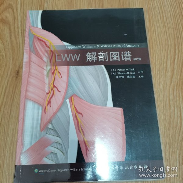 LWW解剖图谱